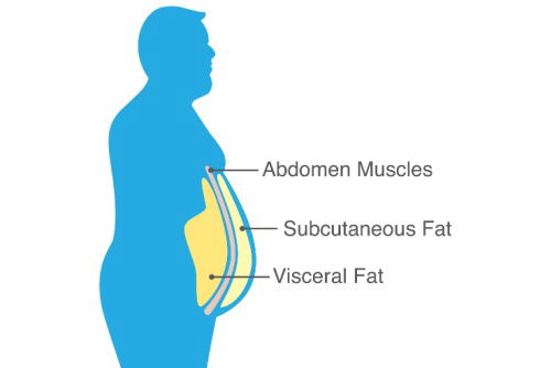 Blog Image: Excess Cortisol Triggers Fat Gain Blog Image: Excess Cortisol Triggers Fat Gain