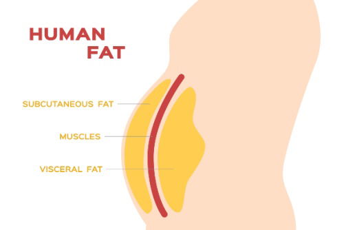 Blog Image: Can Excess Stress Cause Fat Gain? Blog Image: Can Excess Stress Cause Fat Gain?