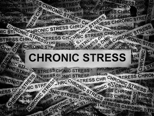 Blog Image: Chronic Stress Can Disrupt Metabolism Blog Image: Chronic Stress Can Disrupt Metabolism