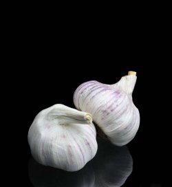 Blog Image: Can Garlic Keep You Healthy? Blog Image: Can Garlic Keep You Healthy?