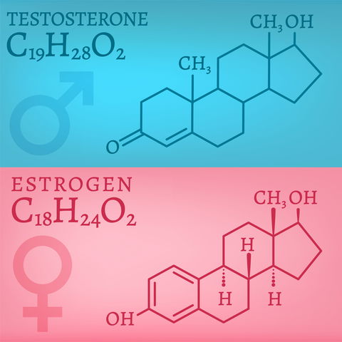 Blog Image: Low and High Estrogen Causes Weight Gain in Women Blog Image: Low and High Estrogen Causes Weight Gain in Women