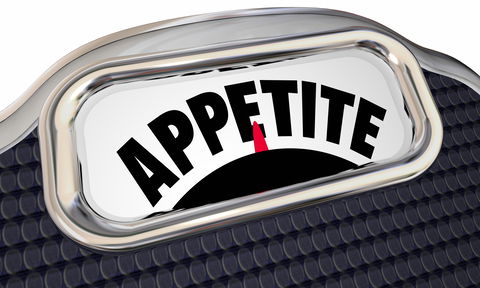 Blog Image: Appetite is a Mental Not Physical State