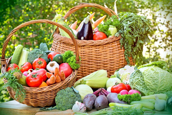 Blog Image: Vegetarian Diet Became Popular in 1847 England Blog Image: Vegetarian Diet Became Popular in 1847 England