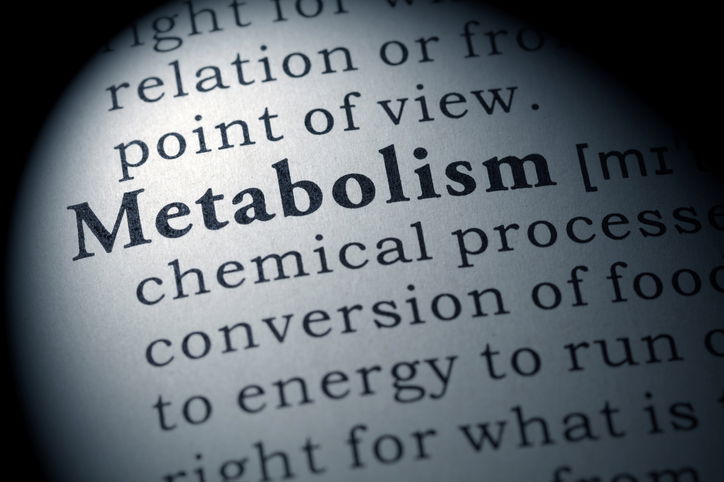 Blog Image: Your Body's Metabolic Processes Help Prevent Starvation Blog Image: Your Body's Metabolic Processes Help Prevent Starvation