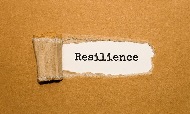 Blog Image: Resilience Is a Key Component for Building a Growth Mindset Blog Image: Resilience Is a Key Component for Building a Growth Mindset