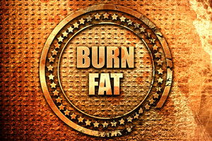 Blog Image: Women Are Typically More Efficient at Burning Fat Blog Image: Women Are Typically More Efficient at Burning Fat
