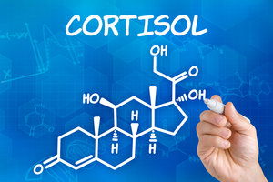 Blog Image: Stressful Thoughts Can Trigger Cortisol Hormone Production Blog Image: Stressful Thoughts Can Trigger Cortisol Hormone Production