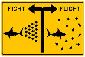 Blog Image: Constant State of Fight or Flight Is Not Sustainable Blog Image: Constant State of Fight or Flight Is Not Sustainable