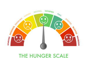 Blog Image: Leptin Hormones Help Manage Your Hunger Scale
