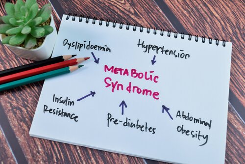 Blog Image: Protein First to Manage Metabolic Syndrome