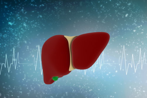 Blog Image: Deactivated Liver Gene Boosts Metabolism