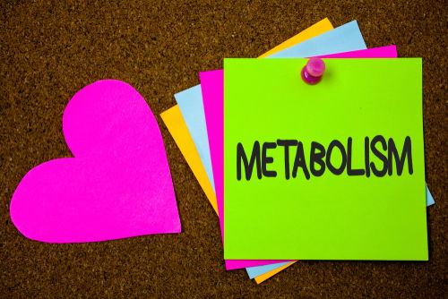 Blog Image: Allow Yourself to Live Healthy and Be Happy