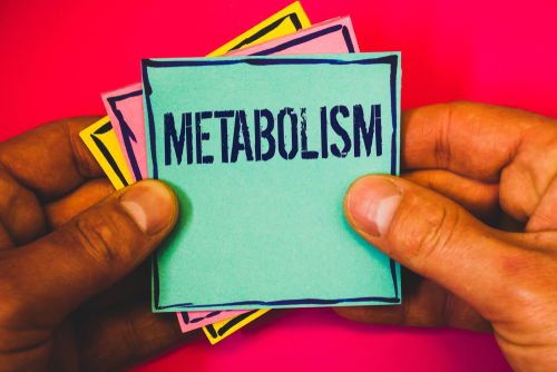 Blog Image: Aging Can Trigger Changes in Metabolism