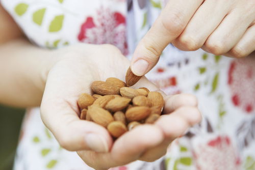 Blog Image: Plan Healthy Protein Snack to Avert Boredom Blog Image: Plan Healthy Protein Snack to Avert Boredom
