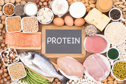 Blog Image: Protein Keeps You Feeling Full Longer