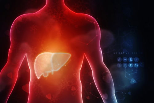 Blog Image: PV-1 Gene and Liver Metabolism Blog Image: PV-1 Gene and Liver Metabolism