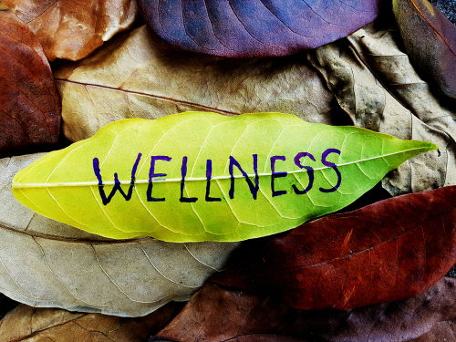 Blog Image: Nutritional Medicine Pre-Dates Recorded History Blog Image: Nutritional Medicine Pre-Dates Recorded History