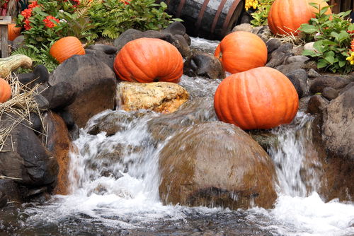 Blog Image: Water Rich Holiday Foods Can Help You Stay Hydrated Blog Image: Water Rich Holiday Foods Can Help You Stay Hydrated
