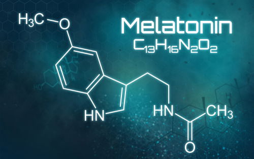 Blog Image: Melatonin Regulates Circadian Rhythm to Tell You When to Eat
