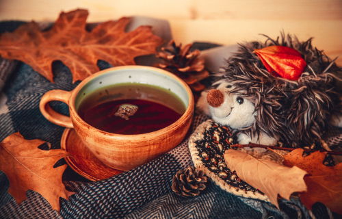Blog Image: Wouldn't It Be Great if Holiday Weight Gain Could Be Put Away Like Decorations? Blog Image: Wouldn't It Be Great if Holiday Weight Gain Could Be Put Away Like Decorations?