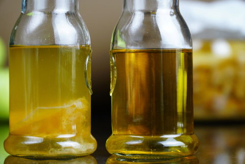 Blog Image: Understanding “The Mother” in ACV