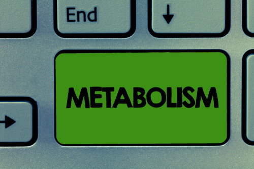 Blog Image: YoYo Dieting Can Negatively Impact Metabolism