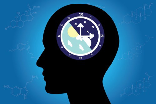 Blog Image: The Role of Melatonin and Resetting Your Clock