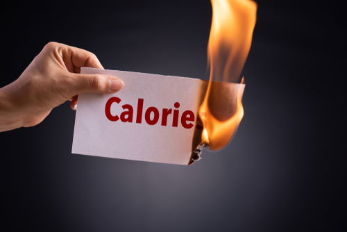 Blog Image: PV-1 Gene May Boost Calorie Burn