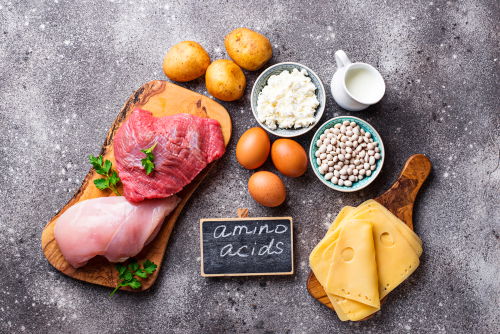 Blog Image: Amino Acids Are Converted to Proteins Your Body Needs Blog Image: Amino Acids Are Converted to Proteins Your Body Needs