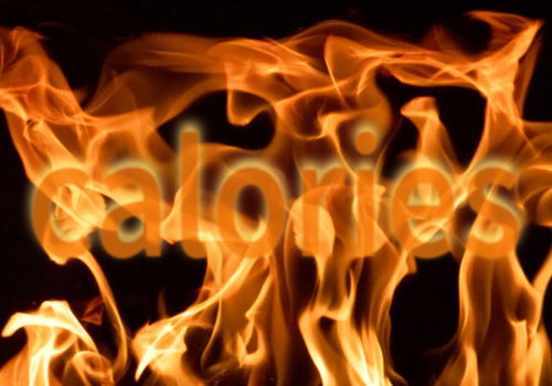 Blog Image: How Hepatic Cells Burn Calories Blog Image: How Hepatic Cells Burn Calories