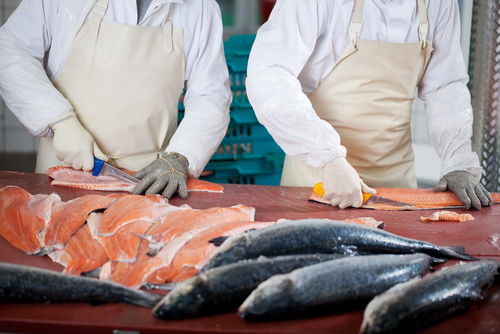 Blog Image: Processed Fish Are a Healthy Year-Round Option