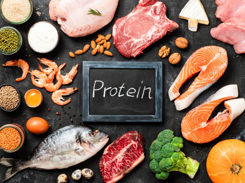 Blog Image: Your Body Requires Large Amounts of Protein Blog Image: Your Body Requires Large Amounts of Protein