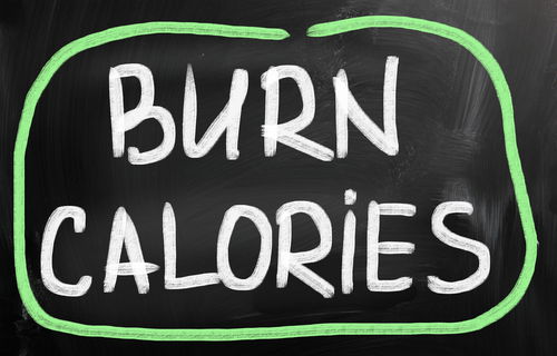 Blog Image: PV-1 Gene Can Increase Calorie Burn Blog Image: PV-1 Gene Can Increase Calorie Burn