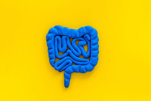 Blog Image: Gut Bacteria’s Link to Metabolic Well-Being