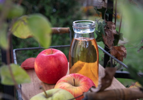 Blog Image: Vinegar Weight Loss Study Retracted Blog Image: Vinegar Weight Loss Study Retracted