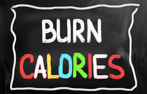 Blog Image: PV-1 Gene Switch Burns Calories