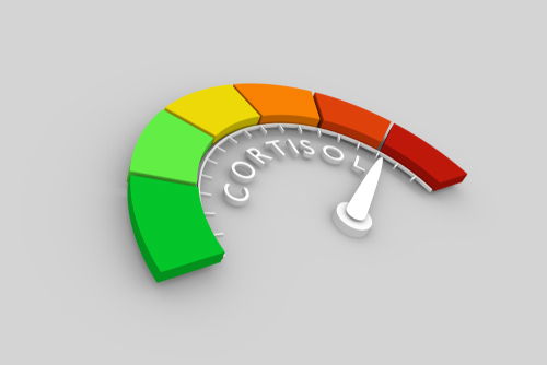 Blog Image: Cortisol Is the Flight or Fight Hormone