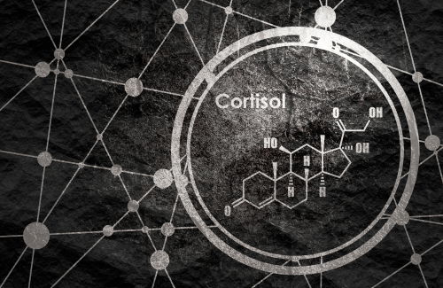 Blog Image: Progesterone Supplementation Can Reduce Estrogen Dominance Blog Image: Progesterone Supplementation Can Reduce Estrogen Dominance