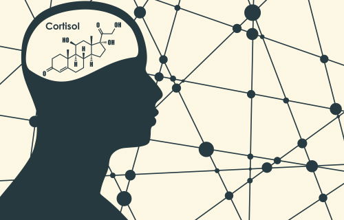 Blog Image: Stress Can Cause Excessive Cortisol Hormone Release  Blog Image: Stress Can Cause Excessive Cortisol Hormone Release