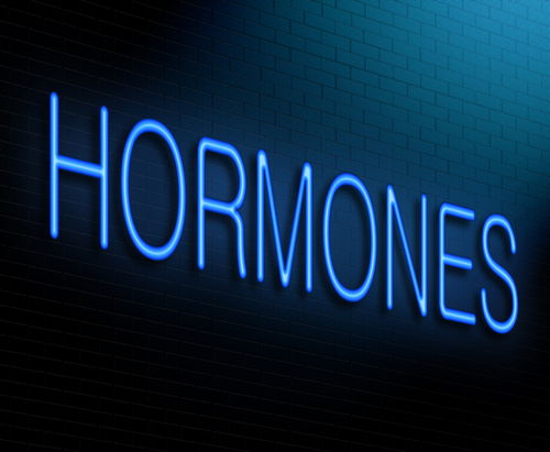 Blog Image: Pituitary Gland Releases Thyroid-Stimulating Hormones Blog Image: Pituitary Gland Releases Thyroid-Stimulating Hormones