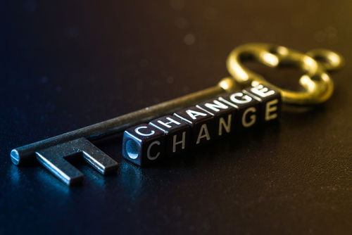 Blog Image: Looking for the Key to Losing Weight