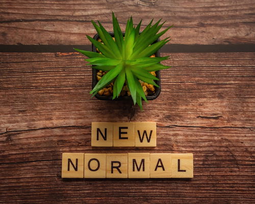 Blog Image: Find a Remote Weight Loss Plan for Your New Normal