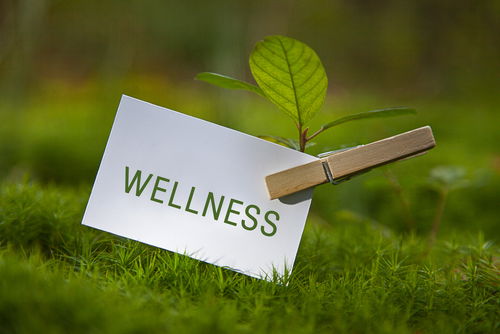 Blog Image: Could a Plant-Based Diet Restore Your Wellness? Blog Image: Could a Plant-Based Diet Restore Your Wellness?
