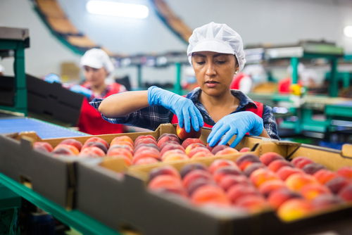 Blog Image: Fresh Fruits Are Minimally Processed Foods Blog Image: Fresh Fruits Are Minimally Processed Foods