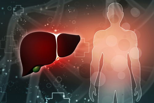 Blog Image: PV-1 Gene Impacts Lipid Metabolism Blog Image: PV-1 Gene Impacts Lipid Metabolism