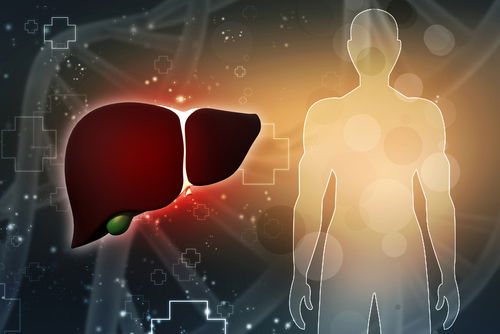 Blog Image: The Liver’s Role in Weight Loss Plateaus Blog Image: The Liver’s Role in Weight Loss Plateaus