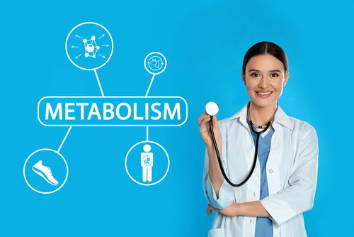 Blog Image: Scientists Uncover New Metabolic Key