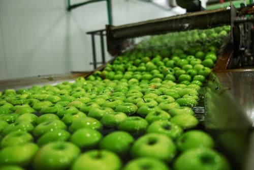 Blog Image: Minimal Processing Includes Washing and Cleaning