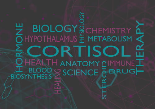 Blog Image: Elevated Cortisol Can Cause Food Cravings Blog Image: Elevated Cortisol Can Cause Food Cravings