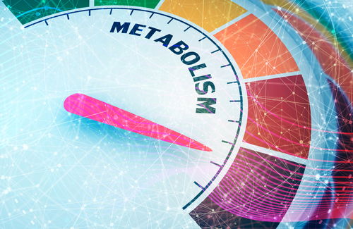 Blog Image: PLVAP Gene May Boost Metabolism Blog Image: PLVAP Gene May Boost Metabolism